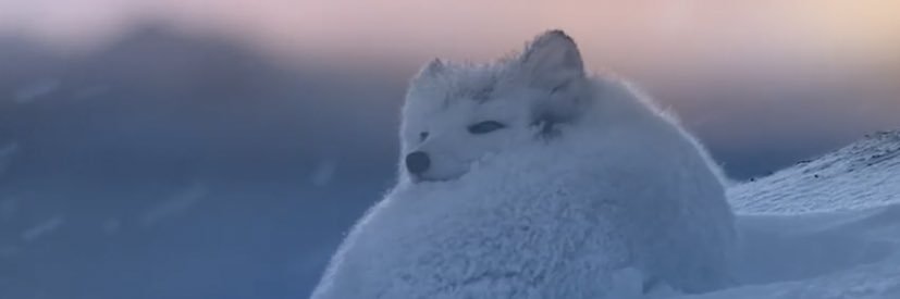 𝕣ꪮᥴ𝕜ⅈꪀ гᵒβιℕ banner