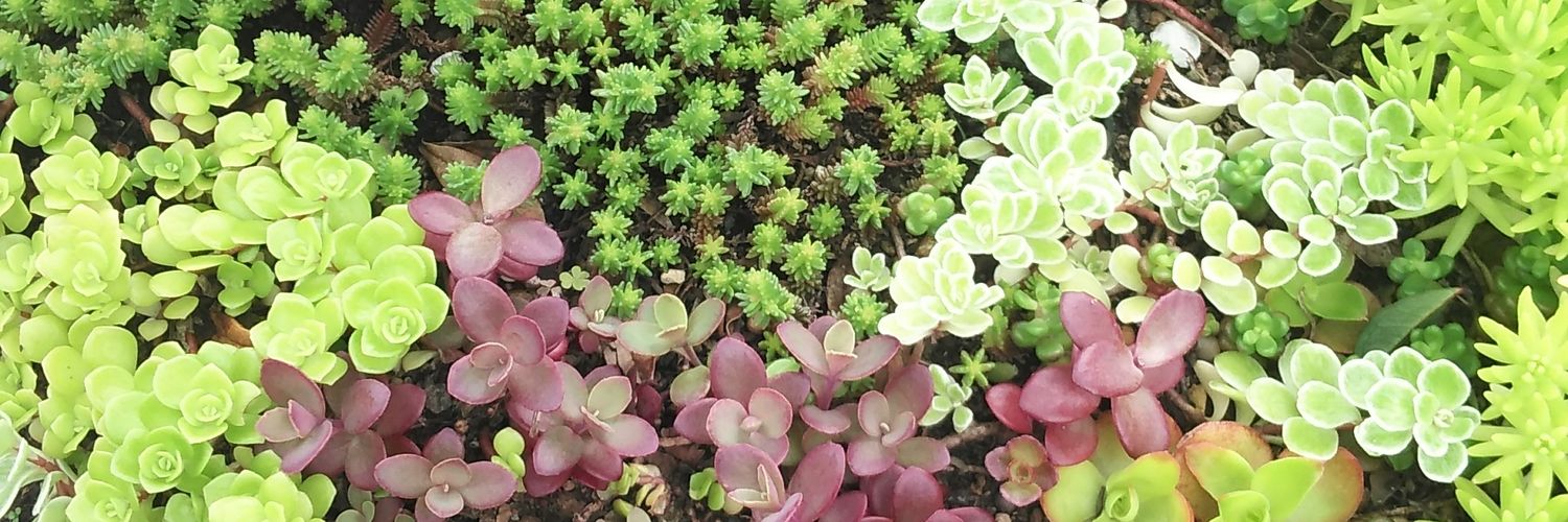 andoseiko's profile banner image