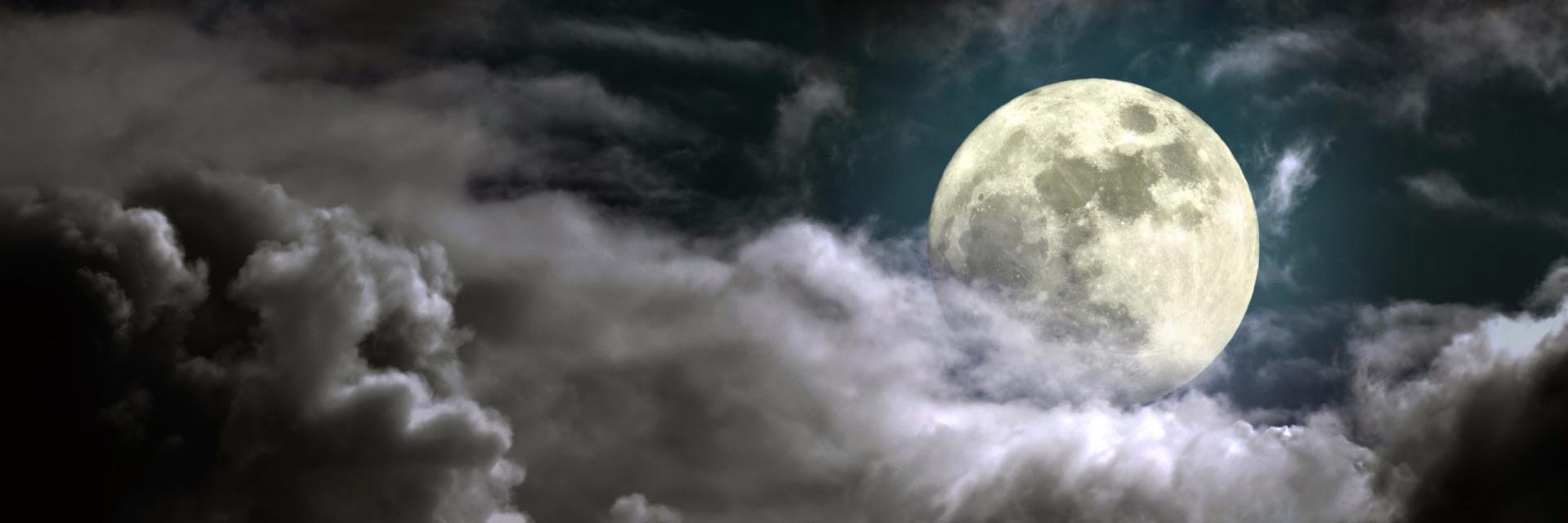 nam_vera's profile banner image