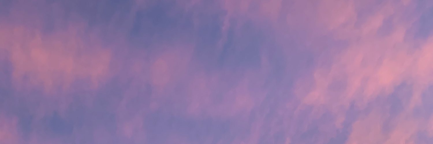 aly's banner