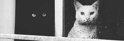 tere190's profile banner image