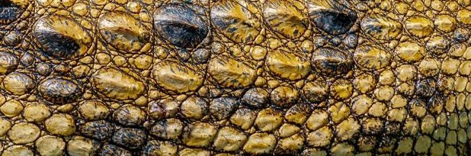 Mamba_Mtoni's profile banner image