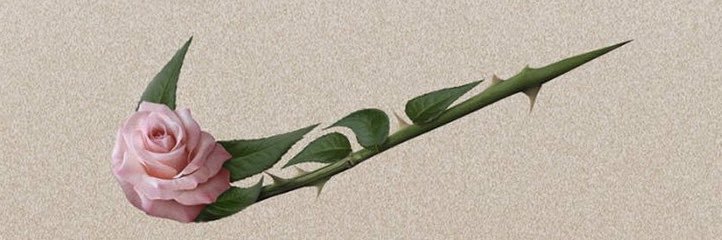 cestKALM's profile banner image