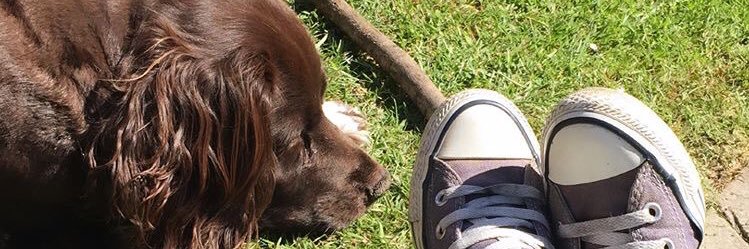 beck_1810's profile banner image