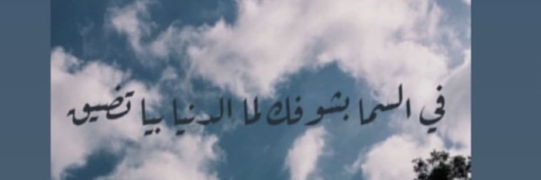 yourfavnado's profile banner image