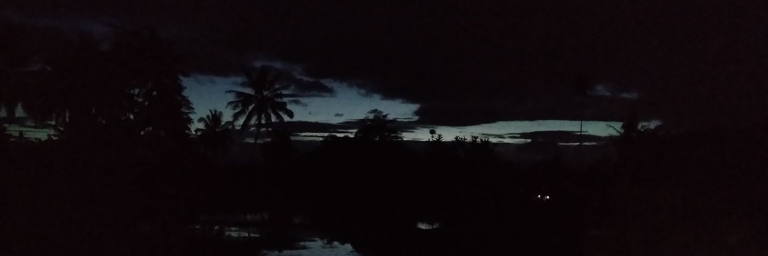 DzikriAF_'s profile banner image
