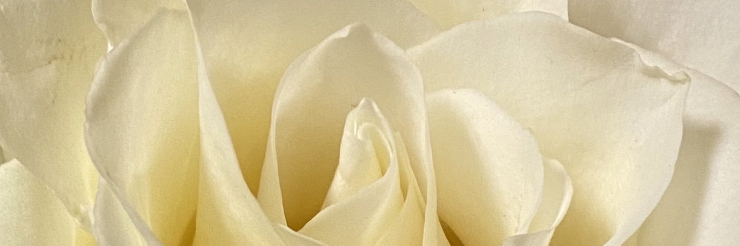 EccentricMango's profile banner image