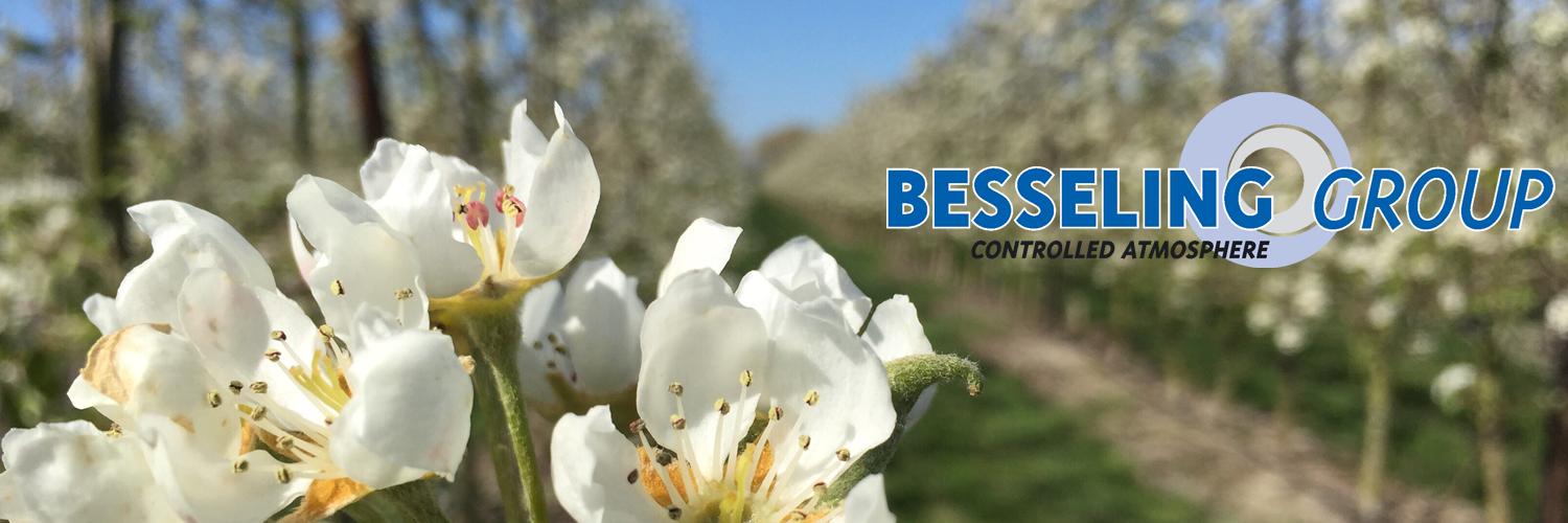 BesselingGroup's profile banner image
