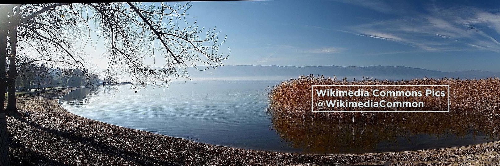 WikimediaCommon's profile banner image
