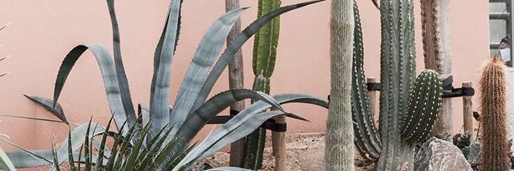 halescifer's profile banner image