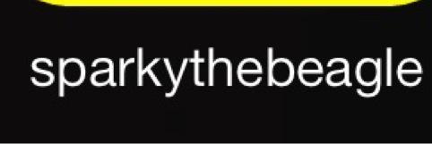 sparksthebeagle's profile banner image