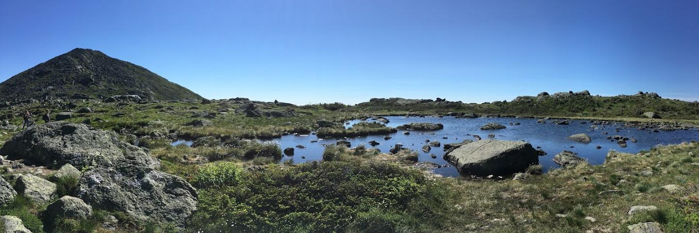 Zinger Yang Loureiro banner