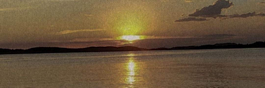 cachorro salivante de pavlov banner