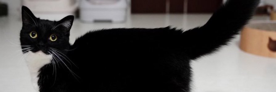 CeegeU's profile banner image