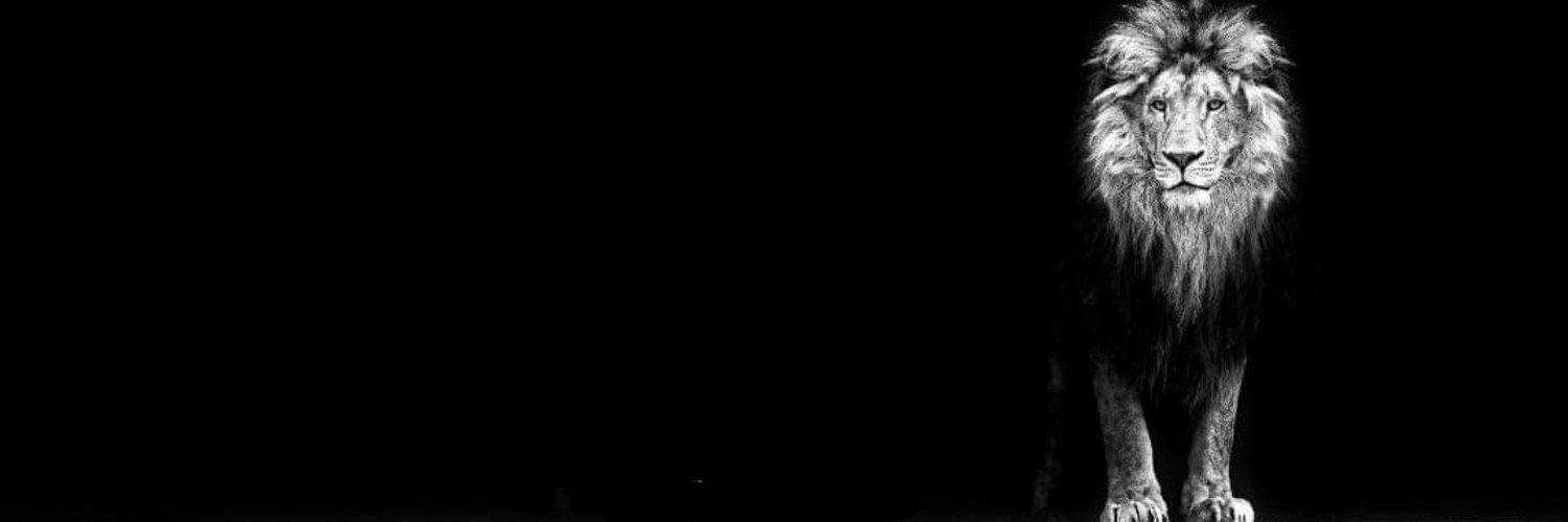 Lee Ward LCIBSE MACQP MICWCI MIET EngTech Ω🇬🇧 banner