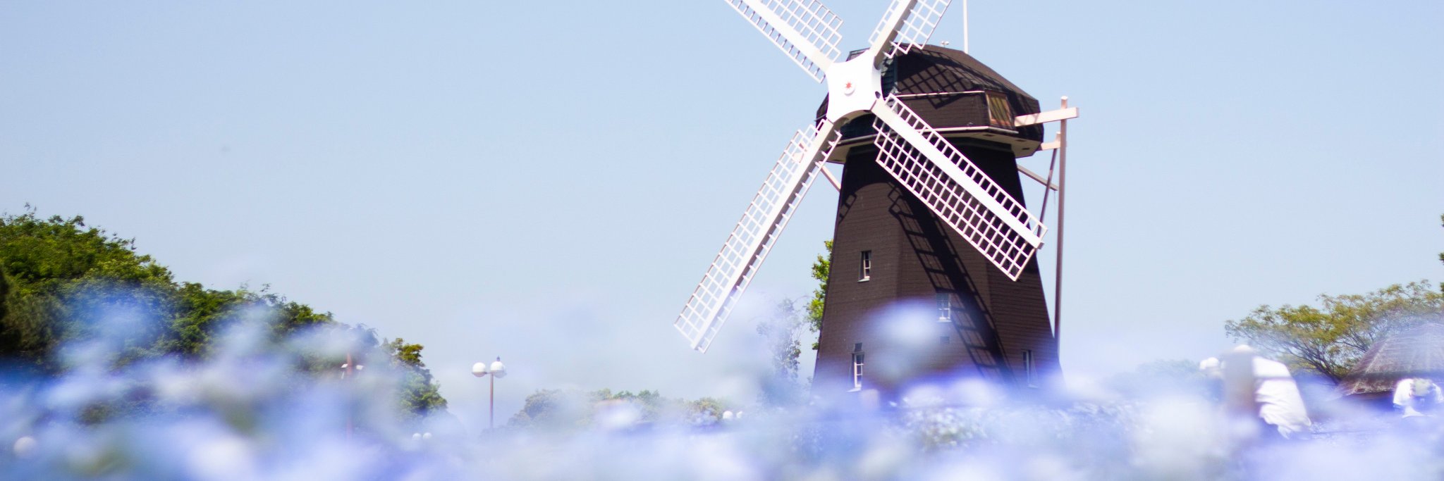 IIENCIE's profile banner image