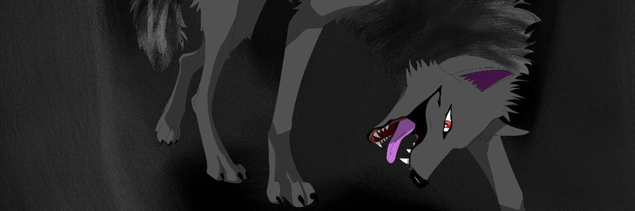 FlyHolly3's profile banner image
