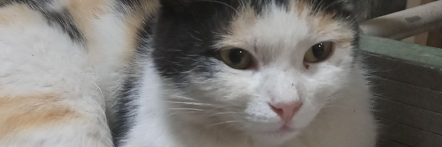 faridniceboy's profile banner image