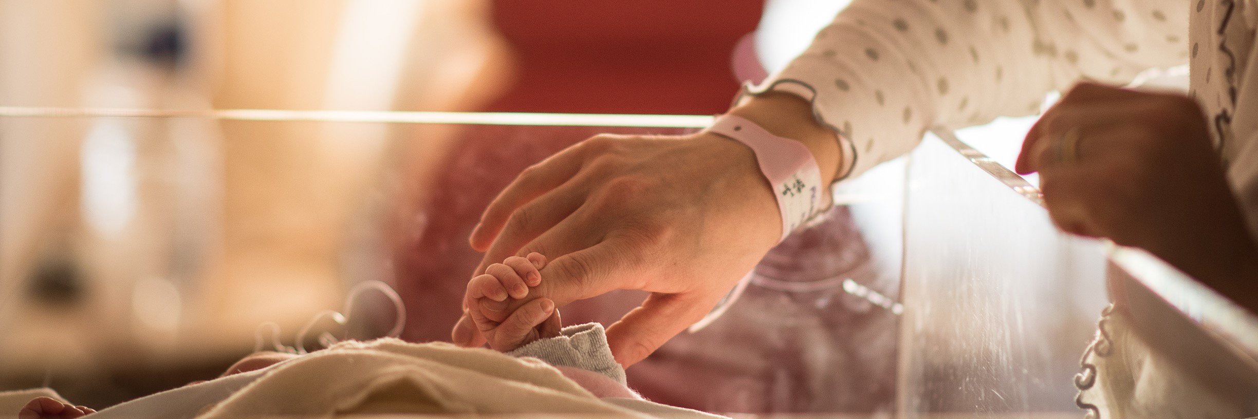 Daniele Nardi  banner