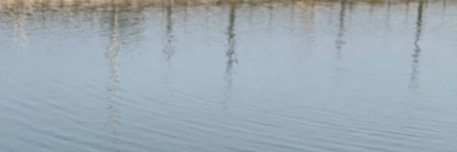 besh0___o's profile banner image