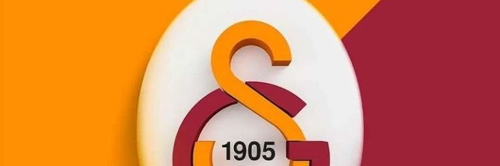 sinantolgaarcan's profile banner image