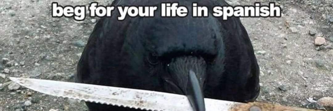 birderos's profile banner image