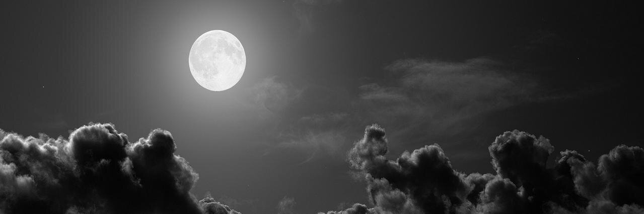 YO banner