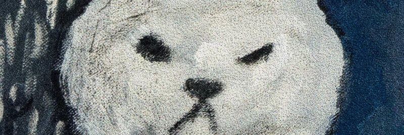 gappa00's profile banner image