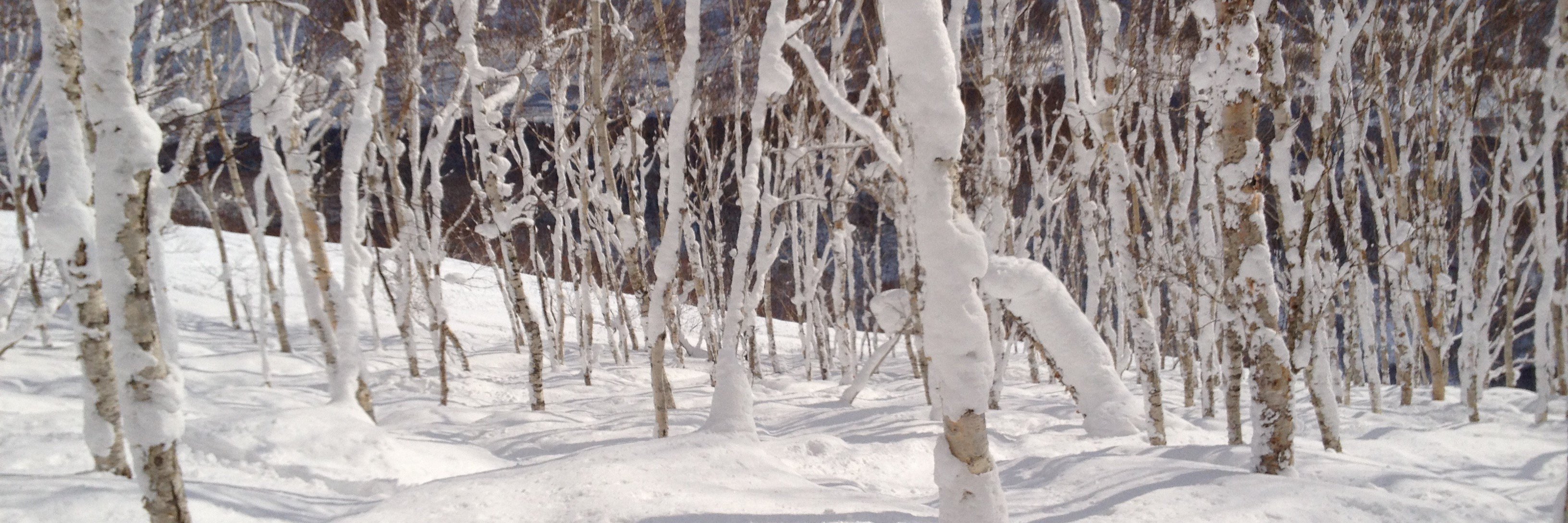 hotsnowlife's profile banner image