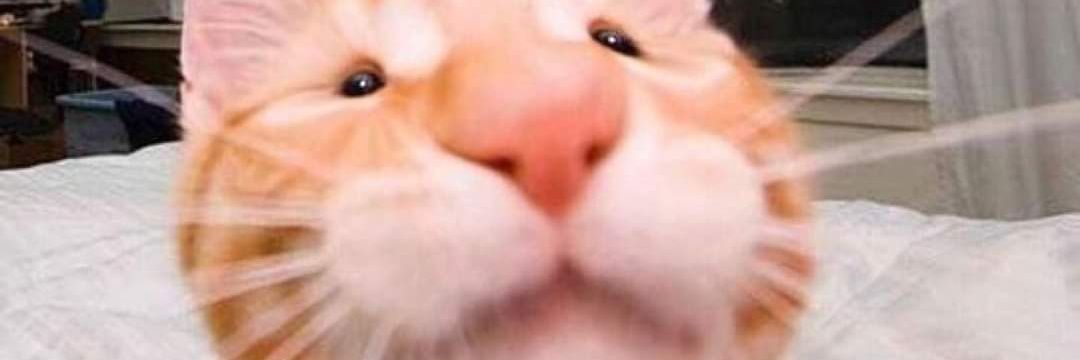 heyMarygee's profile banner image