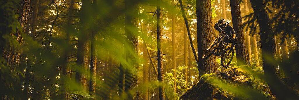 daniemtb's profile banner image