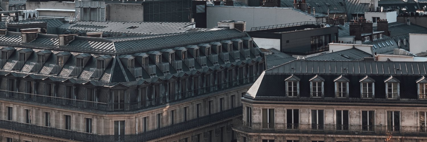 scavaille's profile banner image