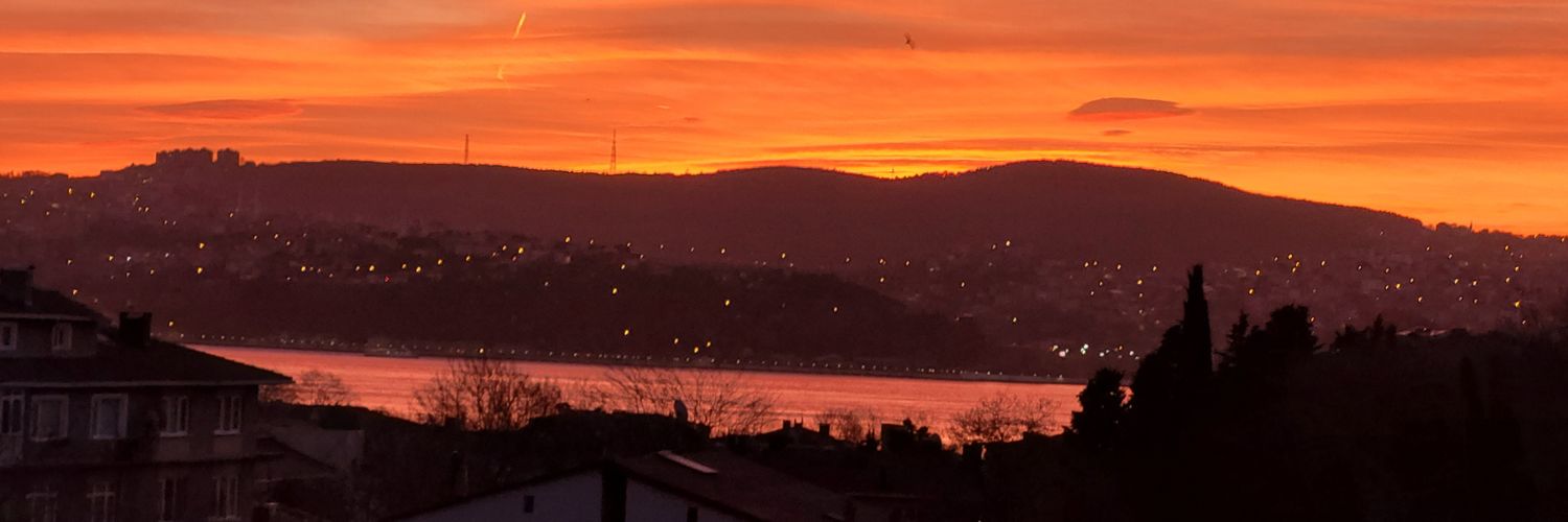 hippinos's profile banner image