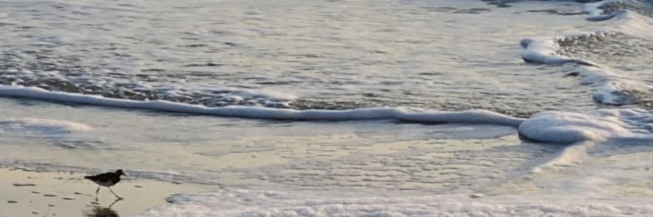 kayleeorr_'s profile banner image