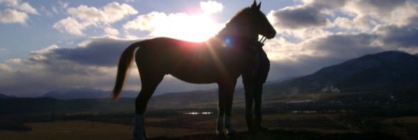 SParaskiv's profile banner image