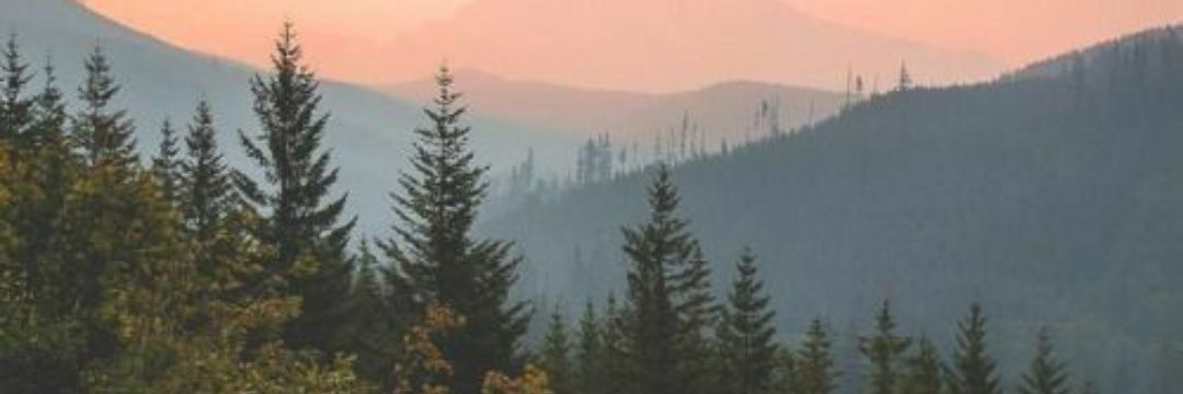 kels_138's profile banner image