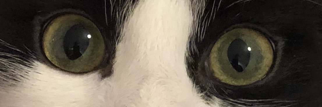 Ayfer72's profile banner image