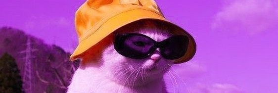trilleraass's profile banner image