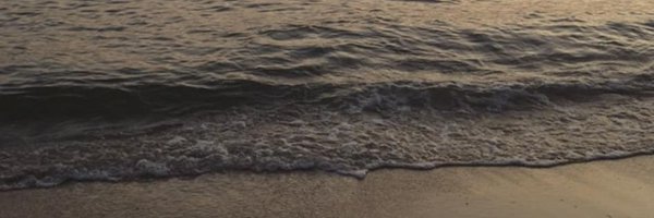 alwayslaurens Profile Banner