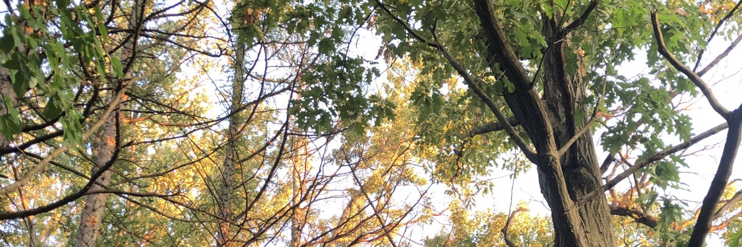 logan_hasse's profile banner image