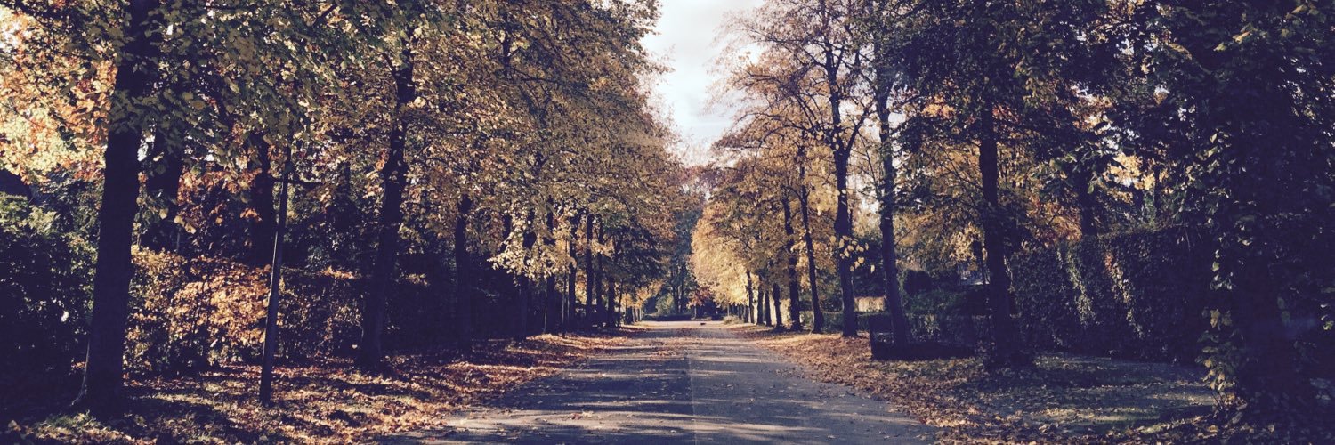 MaximeWessels's profile banner image