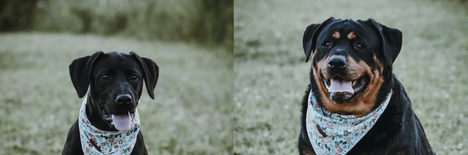 Aubree22_'s profile banner image