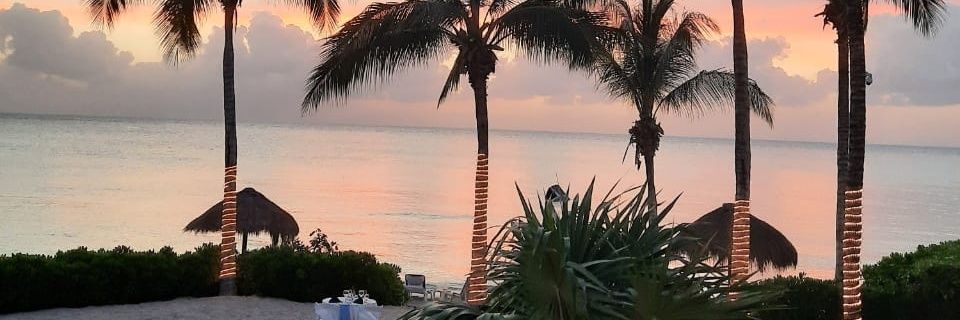 amcarribec3's profile banner image