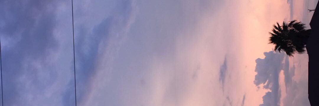 izzybee1026's profile banner image