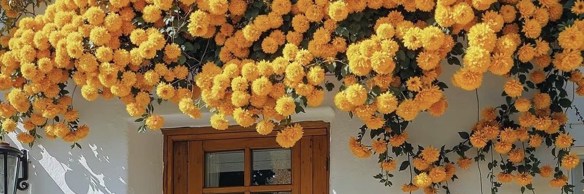 nadizt's profile banner image