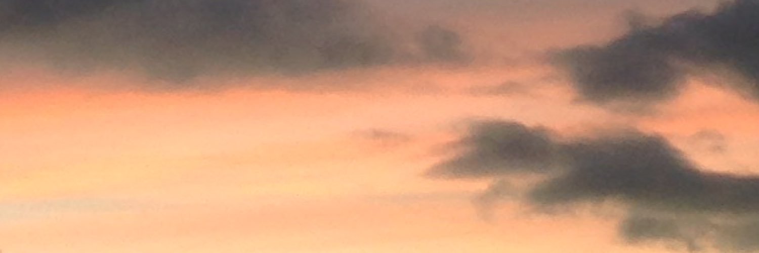 brutinho banner
