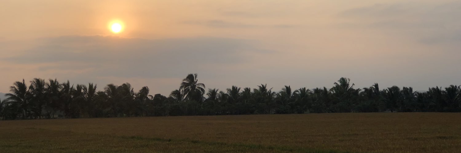 bismarkthor's profile banner image
