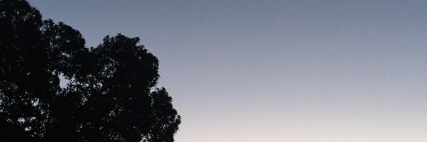 CGAutumnSpring's profile banner image
