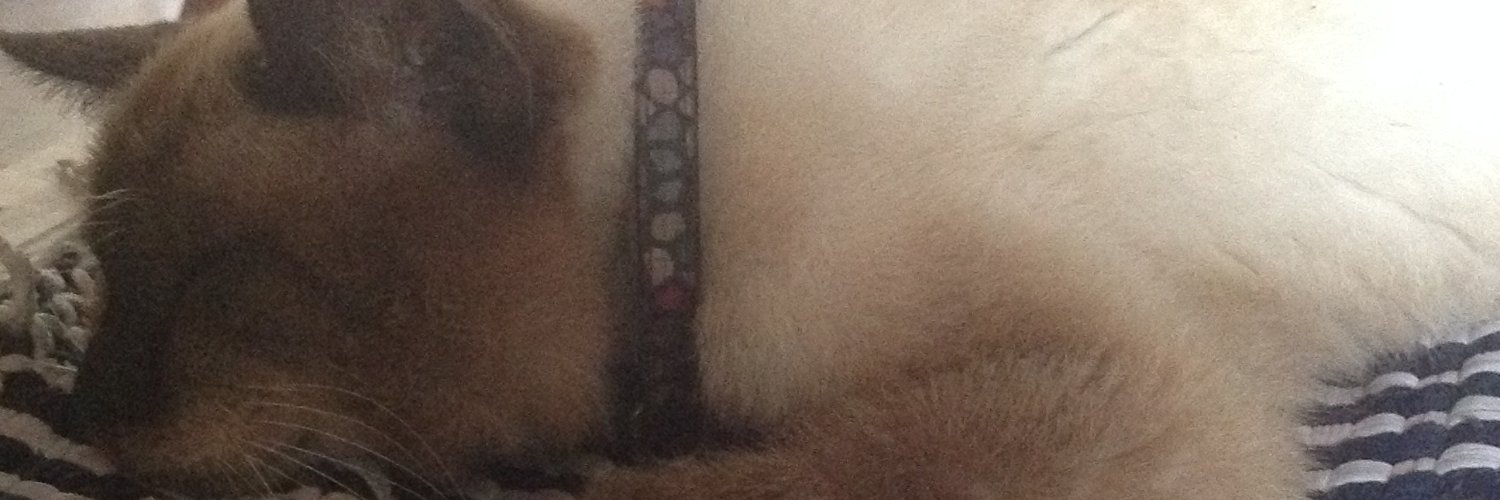 __KDD__'s profile banner image