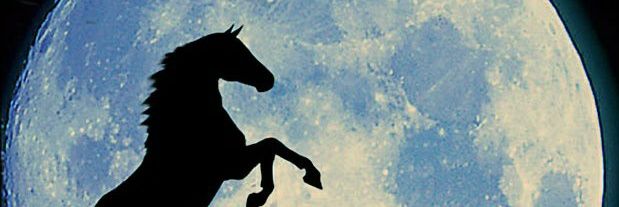 hanbajin's profile banner image
